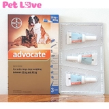 1 tuýp Advocate nhỏ gáy trị giun, ghẻ, ve rận, bọ chét (chó từ 25-40kg)