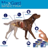 1 hộp NexGard Spectra trị giun, ghẻ, viêm da, ve rận (chó 3,5 - 7,5kg)