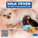 1 hộp (30 viên) Calci Delice bổ sung Canxi và khoáng chất cho chó mèo