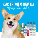 OXYMED (MỸ) TRỊ NGỨA, VẢY GÀU, ĐỐM ĐỎ, RỤNG LÔNG CHÓ MÈO