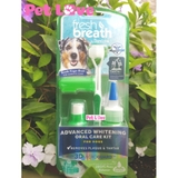 Combo vệ sinh răng miệng chó, trắng răng, giảm mùi hôi (TropiClean, Mỹ)