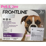 Frontline Plus nhỏ gáy diệt ve rận, bọ chét (chó 20 - 40kg, mẫu mới, 1 hộp x 3 tuýp)