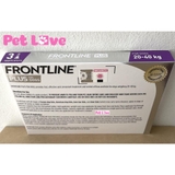 Frontline Plus nhỏ gáy diệt ve rận, bọ chét (chó 20 - 40kg, mẫu mới, 1 hộp x 3 tuýp)