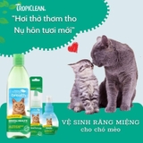 Gel vệ sinh răng miệng mèo, giảm cao răng, mảng bám, mùi hôi (TropiClean, Mỹ)