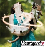 1 hộp Heartgard (6 viên) phòng trị giun tim, giun đũa, giun móc (chó từ 22,5 - 45 kg)