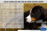 1 vỉ Inflacam 2,5mg kháng viêm, giảm đau trên chó (10 viên)