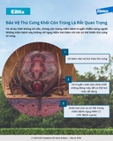 Vòng đeo cổ Kiltix diệt ve, bọ chét (chó dưới 20kg)