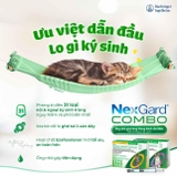 Nexgard Combo diệt nội ngoại ký sinh trùng (mèo nhỏ hơn 2,5kg)