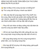 Nutri Plus Gel dinh dưỡng cao cấp cho chó mèo (Virbac, Pháp, mẫu mới)