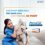 1 hộp Previcox (10 viên, 57mg/ viên) giảm đau, kháng viêm trên chó