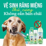 Gel vệ sinh răng miệng chó, giảm cao răng, mảng bám, mùi hôi (TropiClean, Mỹ)