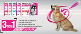 1 tuýp FRONTLINE TRIACT diệt ve rận, ruồi muỗi (chó từ 10 - 20kg)