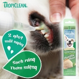 Gel vệ sinh răng miệng chó, giảm cao răng, mảng bám, mùi hôi (TropiClean, Mỹ)