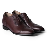 THE DON BROGUES OXFORD - TCC02