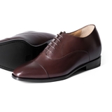THE DON CAPTOE OXFORD - TCC04