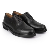 THE NEWGEN OXFORD - OF24