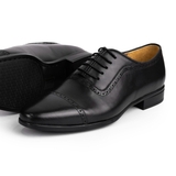 THE ÊM BROGUES OXFORD - OFB12