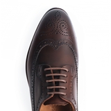 CLASSIC BROGUES DERBY - DB18