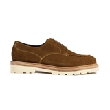 BE BOLD DERBY - DB43