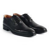 CLASSIC OXFORD - OF27