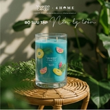 BỘ SƯU TẬP NẾN LY TRÒN YANKEE CANDLE