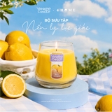 BỘ SƯU TẬP NẾN LY LỤC GIÁC YANKEE CANDLE
