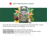 Sáp thơm xe Balsam & Cedar