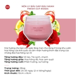 Nến ly bầu Yankee Candle mùi Fresh Cut Rose
