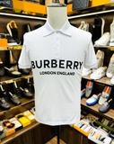 Áo polo Burberry London England basic new 2024 Like Auth 1-1 on web