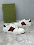 Giày sneaker Gucci ACE Leather kẻ sọc Xanh Đỏ Like Auth on web fullbox bill thẻ phụ kiện