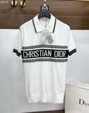 Áo polo Dior kẻ sọc check cổ logo tag ngang ngực new 2024 Like Auth 1-1 on web