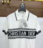 Áo polo Dior kẻ sọc check cổ logo tag ngang ngực new 2024 Like Auth 1-1 on web