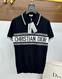 Áo polo Dior kẻ sọc check cổ logo tag ngang ngực new 2024 Like Auth 1-1 on web