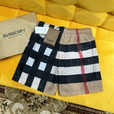 Quần short ngố đùi gió Burberry Nâu kẻ sọc to 2 lớp lót lưới new 2024 Like Auth 1-1 on web