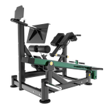 BL33 DUAL 45 HIP EXTENSION