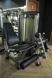 SF90-014 Leg Extension