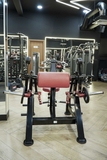 PT-006 ALTERNATE CURLING MACHINE