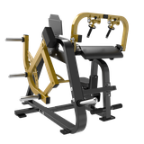 PL06 TRICEPS EXTENSION