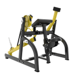 TN29 SEATED BICEPS
