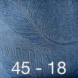 AH 45/4