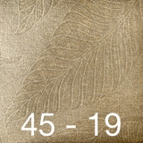 AH 45/4