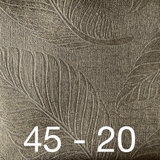 AH 45/4