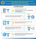 DECLARE GOODS INFORMATION PASSING THROUGH BORDER GATE ON THE ELECTRONIC SYSTEM