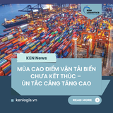 MÙA CAO ĐIỂM VẬN TẢI BIỂN CHƯA KẾT THÚC –  ÙN TẮC CẢNG TĂNG CAO