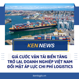 GIÁ CƯỚC VẬN TẢI BIỂN TĂNG TRỞ LẠI, DOANH NGHIỆP   VIỆT NAM ĐỐI MẶT ÁP LỰC CHI PHÍ LOGISTICS