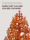 nổi bật