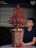 nổi bật