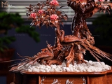 nổi bật