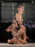 ĐẠT MA SƯ TỔ - GỖ SƯA ĐỎ
