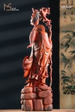 nổi bật